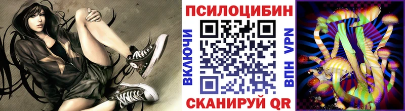 Псилоцибиновые грибы прущие грибы  хочу   Чулым 
